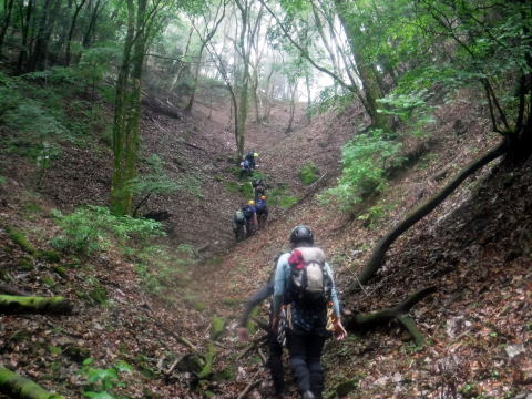 2025.6.15 奥多摩・軍刀利沢（沢登り）（沢登り）