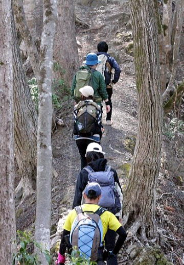 2025.4.12 奥多摩・御前山～鋸山（ハイキング）