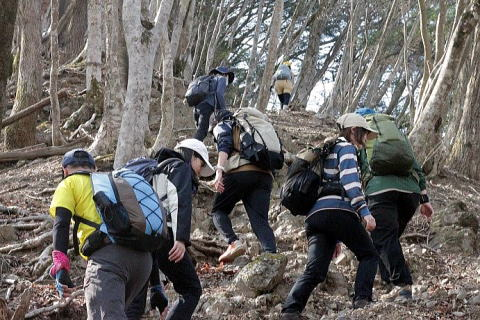2025.4.12 奥多摩・御前山～鋸山（ハイキング）