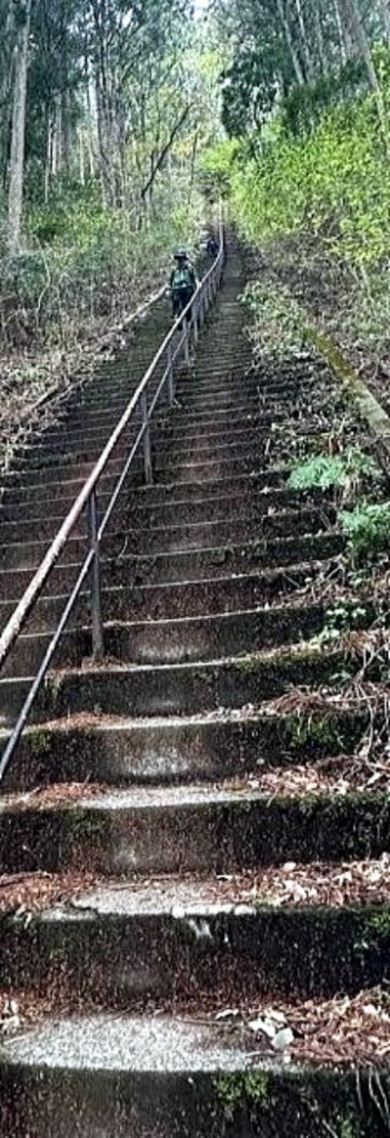 2025.4.12 奥多摩・御前山～鋸山（ハイキング）