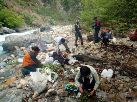 2011.5.28-29　赤湯(山菜取り)（イベント）