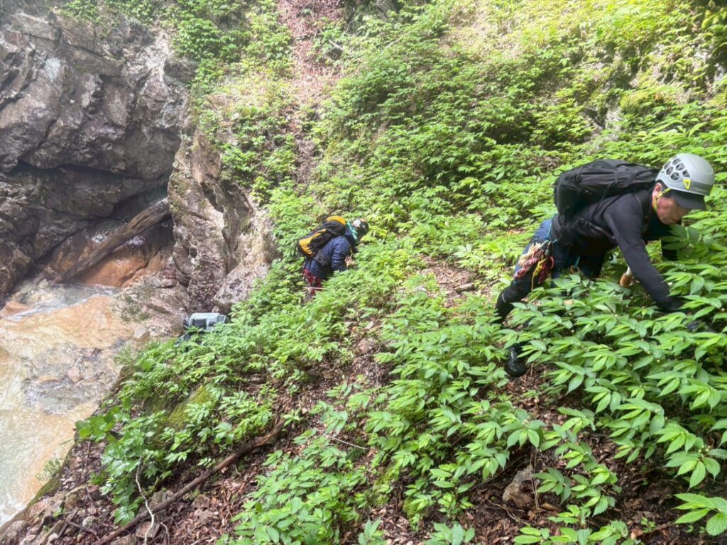 2026.6.7　那須／白水沢左俣左沢（沢登り）