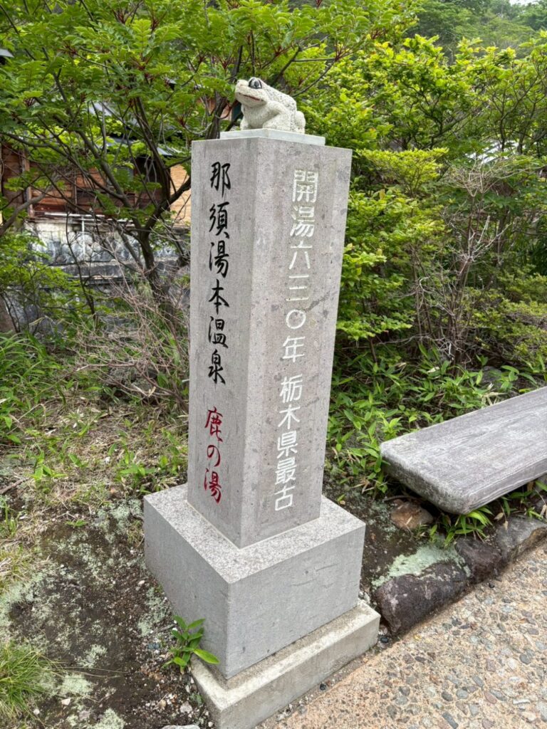 2026.6.7　那須／白水沢左俣左沢（沢登り）