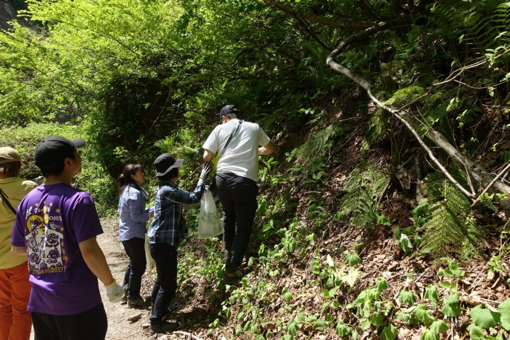 2026.5.16-17　赤湯温泉・山菜山行（イベント）