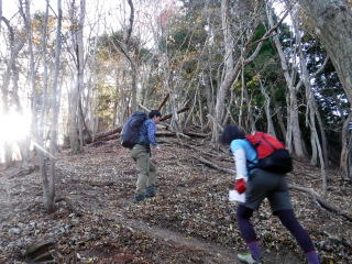 2020.11.22 本社ヶ丸から女坂峠と大沢山(ハイキング)