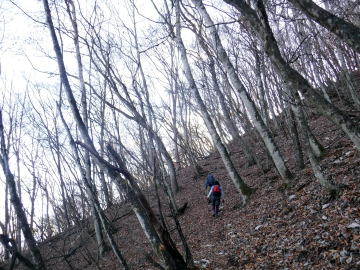 2020.11.22 本社ヶ丸から女坂峠と大沢山(ハイキング)