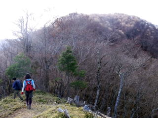 2020.11.22 本社ヶ丸から女坂峠と大沢山(ハイキング)