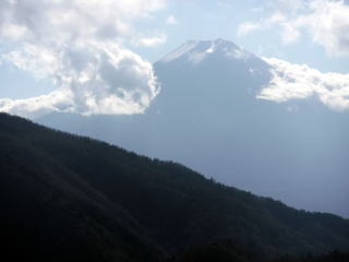 2020.11.22 本社ヶ丸から女坂峠と大沢山(ハイキング)