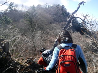 2020.11.22 本社ヶ丸から女坂峠と大沢山(ハイキング)