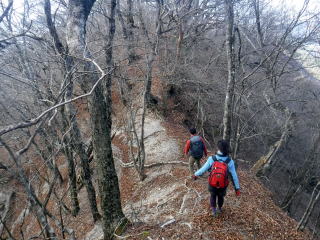 2020.11.22 本社ヶ丸から女坂峠と大沢山(ハイキング)