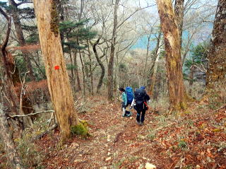 2020.11.21-23 黒法師岳(尾根歩き)
