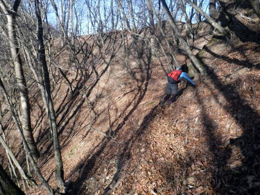 2020.11.22 本社ヶ丸から女坂峠と大沢山(ハイキング)