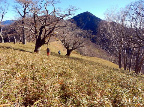 2020.11.21-23 黒法師岳(尾根歩き)