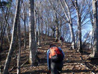 2020.11.22 本社ヶ丸から女坂峠と大沢山(ハイキング)