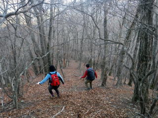 2020.11.22 本社ヶ丸から女坂峠と大沢山(ハイキング)