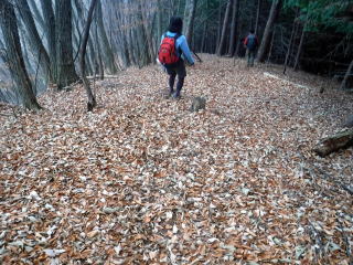 2020.11.22 本社ヶ丸から女坂峠と大沢山(ハイキング)