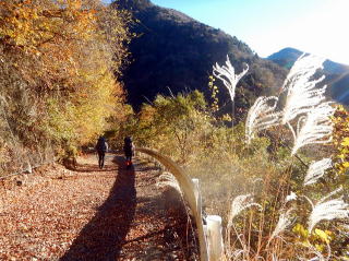 2020.11.21-23 黒法師岳(尾根歩き)
