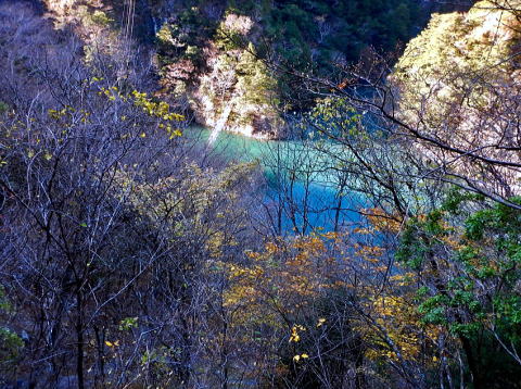 2020.11.21-23 黒法師岳(尾根歩き)