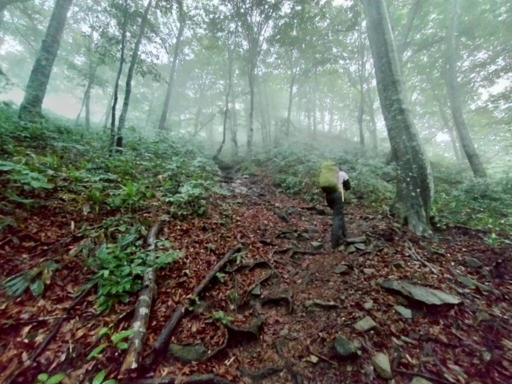 2026.6.21-22 谷川馬蹄形(尾根歩き)