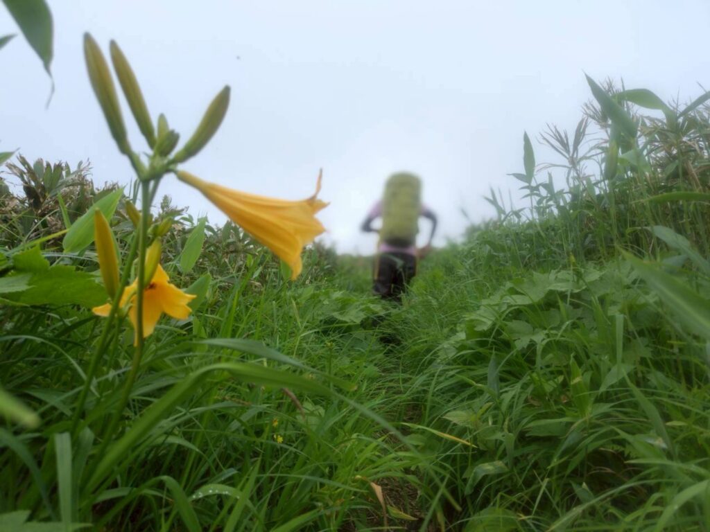 2026.6.21-22 谷川馬蹄形(尾根歩き)