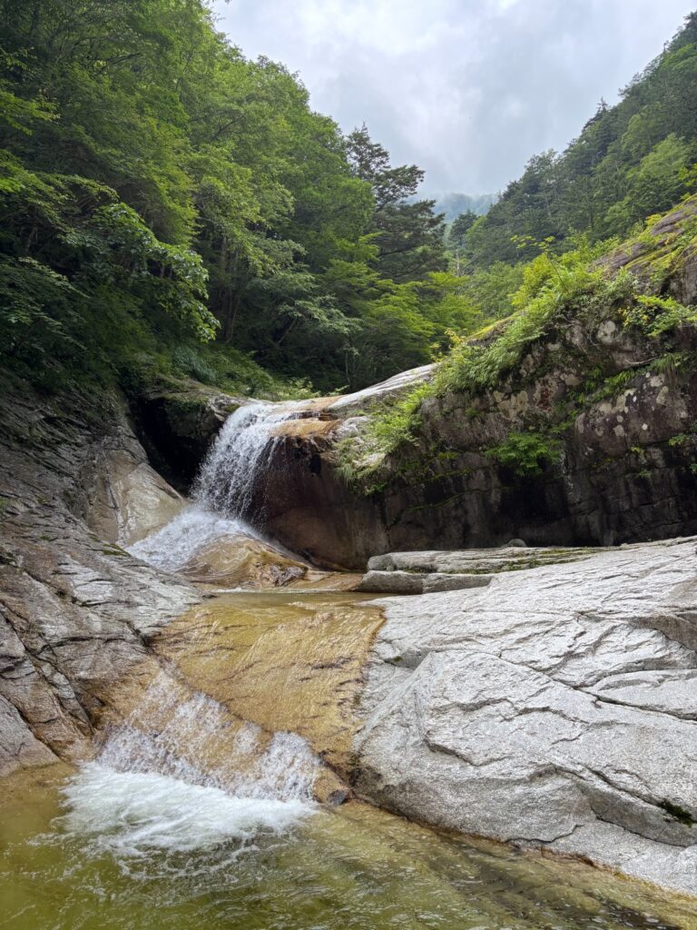2026.7.19-20　尾白川 鞍掛沢・乗越沢（沢登り）