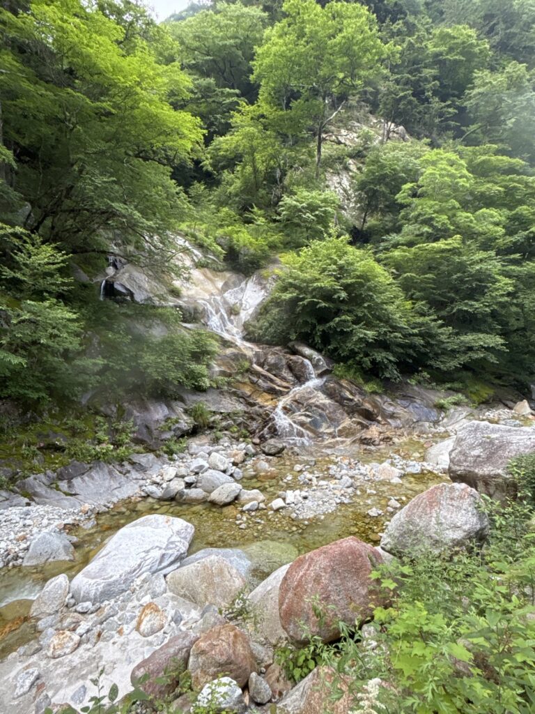 2026.7.19-20　尾白川 鞍掛沢・乗越沢（沢登り）