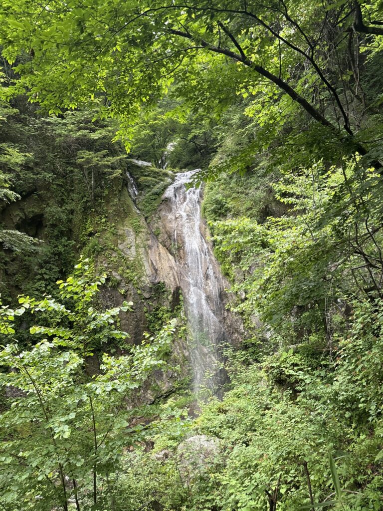 2026.7.19-20　尾白川 鞍掛沢・乗越沢（沢登り）