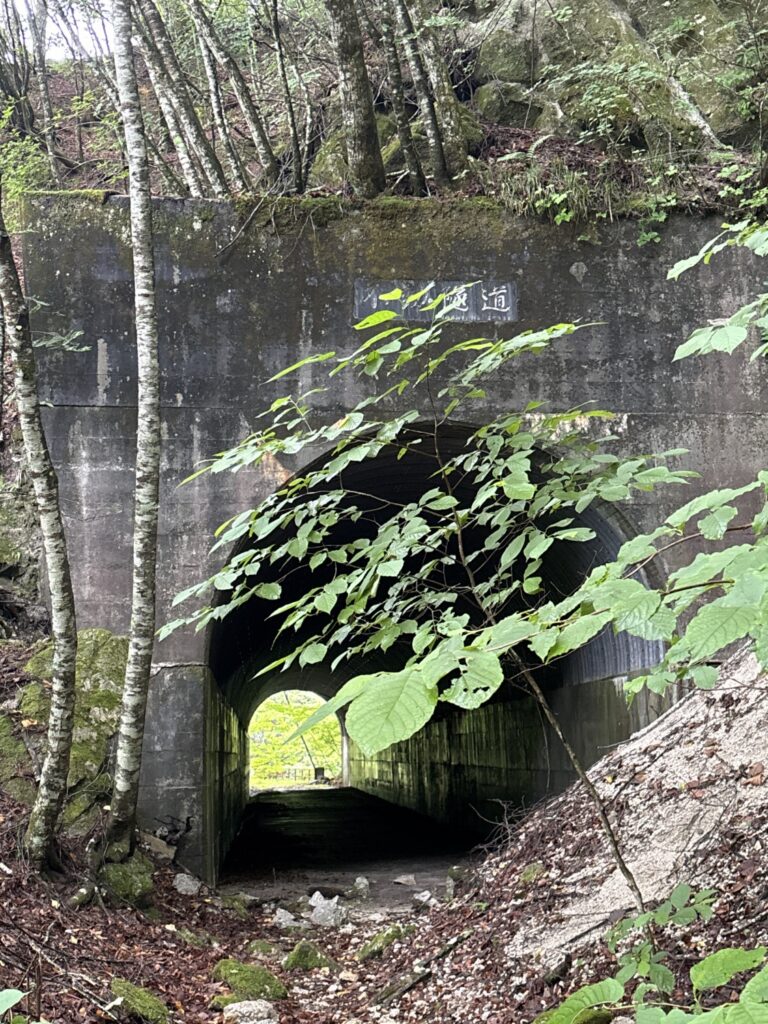 2026.7.19-20　尾白川 鞍掛沢・乗越沢（沢登り）