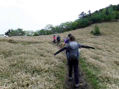 2023.6.10　牛奥ノ雁ヶ腹摺山（尾根歩き）