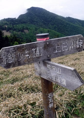 2023.6.10　牛奥ノ雁ヶ腹摺山（尾根歩き）