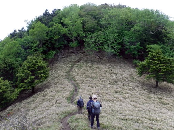 2023.6.10　牛奥ノ雁ヶ腹摺山（尾根歩き）
