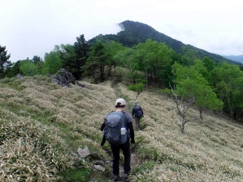 2023.6.10　牛奥ノ雁ヶ腹摺山（尾根歩き）