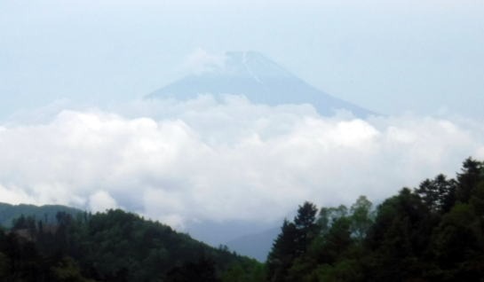 2023.6.10　牛奥ノ雁ヶ腹摺山（尾根歩き）