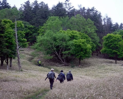 2023.6.10　牛奥ノ雁ヶ腹摺山（尾根歩き）