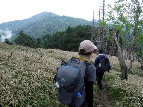 2023.6.10　牛奥ノ雁ヶ腹摺山（尾根歩き）
