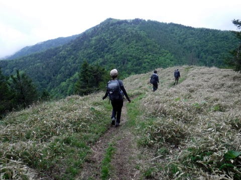 2023.6.10　牛奥ノ雁ヶ腹摺山（尾根歩き）
