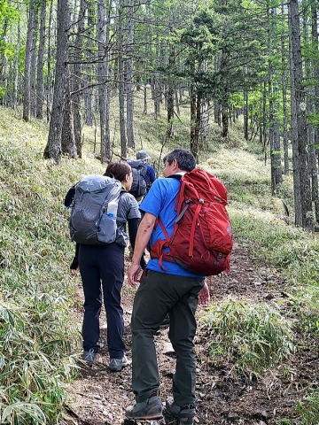 2023.6.10　牛奥ノ雁ヶ腹摺山（尾根歩き）