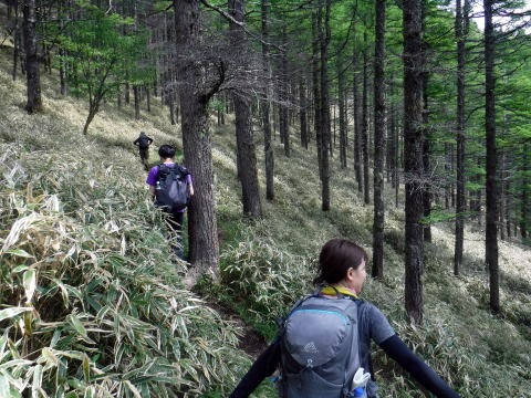 2023.6.10　牛奥ノ雁ヶ腹摺山（尾根歩き）