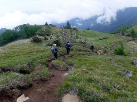 2023.6.10　牛奥ノ雁ヶ腹摺山（尾根歩き）