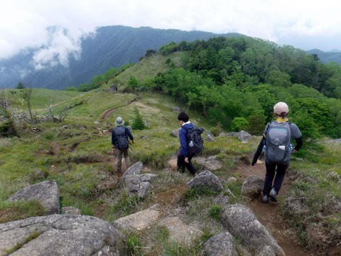 2023.6.10　牛奥ノ雁ヶ腹摺山（尾根歩き）