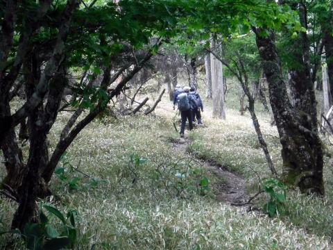 2023.6.10　牛奥ノ雁ヶ腹摺山（尾根歩き）