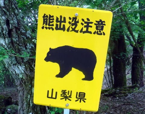 2023.6.10　牛奥ノ雁ヶ腹摺山（尾根歩き）