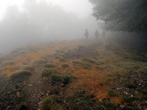 2012.9.22　峰谷川茂窪谷（沢登り）