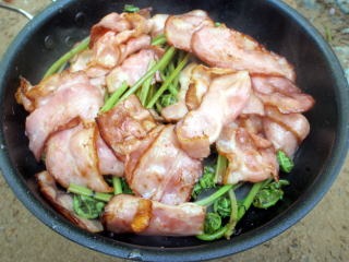 2012.5.26-27　赤湯（山菜採り）（イベント）