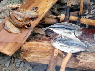 2012.6.23-24 釜ノ沢(沢登り)