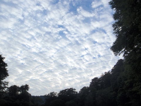 2012.8.11-14　和賀・生保内川（沢登り）