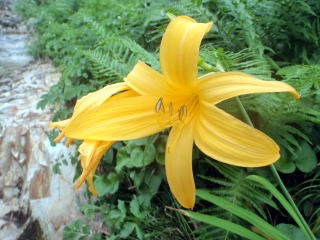 2012.8.11-14　和賀・生保内川（沢登り）