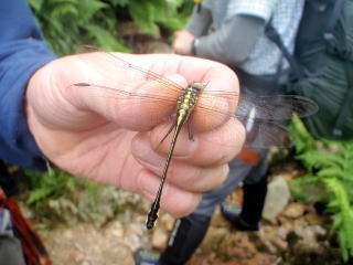 2012.8.11-14　和賀・生保内川（沢登り）