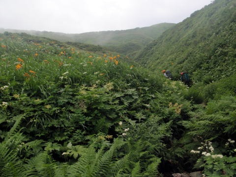 2012.8.11-14　和賀・生保内川（沢登り）