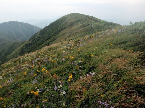 2012.8.11-14　和賀・生保内川（沢登り）